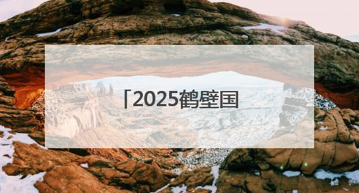 2025鹤壁国际匹克球邀请赛圆满落幕 300余名选手激情对决